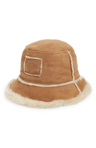 Shop Ugg Genuine Shearling Bucket Hat In Chestnut