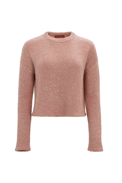 Shop Altuzarra 'yasworth' Sweater In Apple Blossom