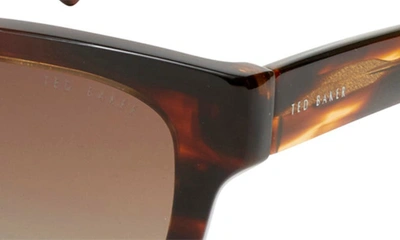 Shop Ted Baker Polarized Square Sunglasses In Horn