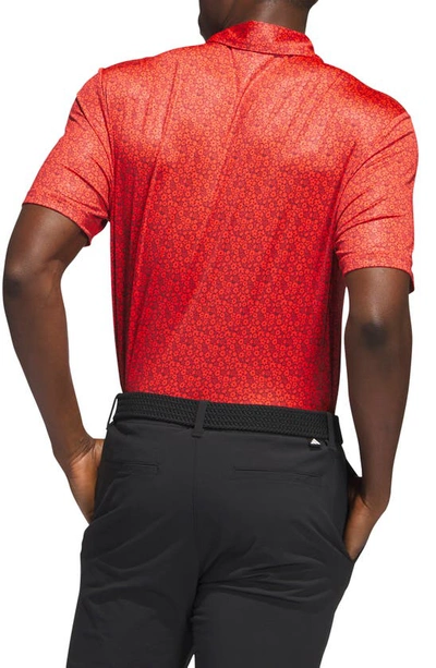Shop Adidas Golf Ultimate365 Floral Print Performance Polo In Bright Red