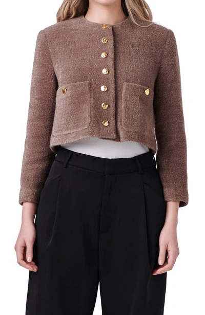 Shop English Factory Crop Knit Jacket In Brown