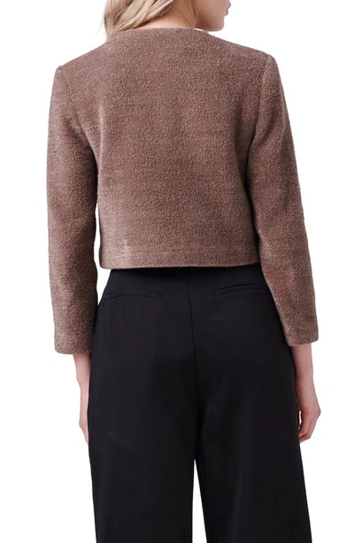 Shop English Factory Crop Knit Jacket In Brown