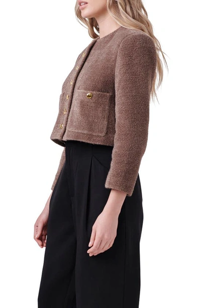 Shop English Factory Crop Knit Jacket In Brown