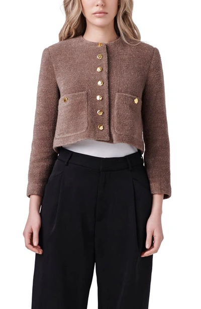 Shop English Factory Crop Knit Jacket In Brown
