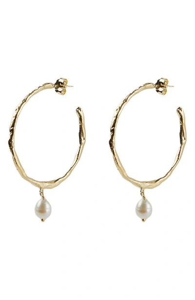 Shop Argento Vivo Sterling Silver Freshwater Pearl Molten Hoop Drop Earrings In Gold