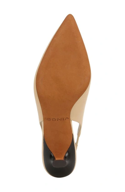 Shop Vince Patrice Pointed Toe Slingback Pump In Macadamia