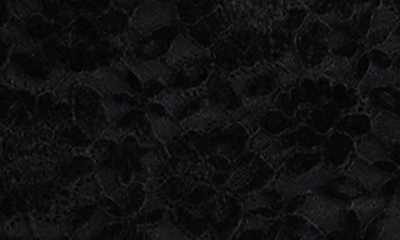 Shop Steve Madden Vivienne Velvet Lace Long Sleeve Midi Dress In Black