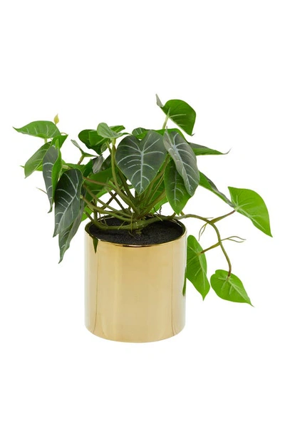 UMA NOVOGRATZ ARTIFICIAL POTHOS POTTED PLANT 
