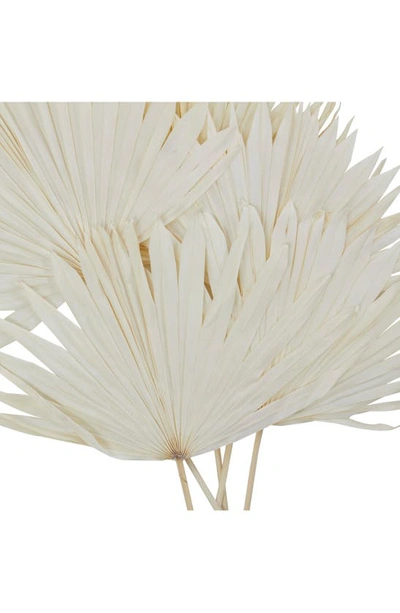 Shop Uma White Dried Palm Leaf