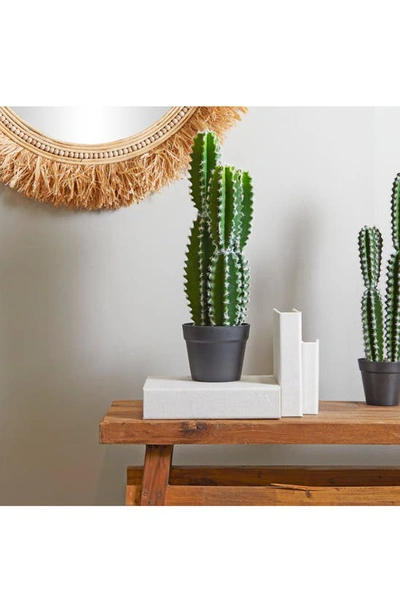 Shop Uma Potted Artificial Cactus In Green