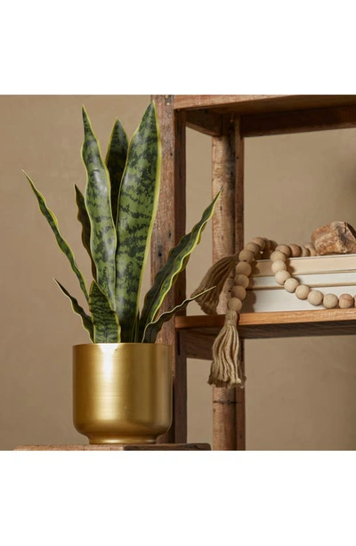 Shop Uma Artificial Potted Snake Plant In Green