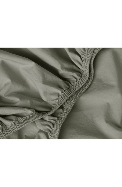Shop Parachute Percale Fitted Sheet In Moss
