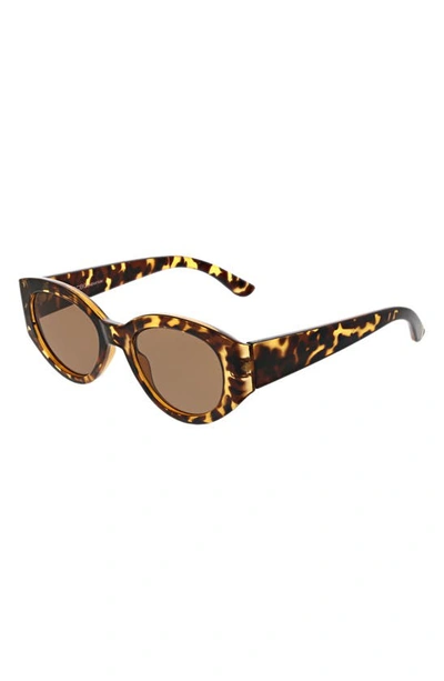 Shop Bcbg 50mm Midsize Oval Sunglasses In Tortoise
