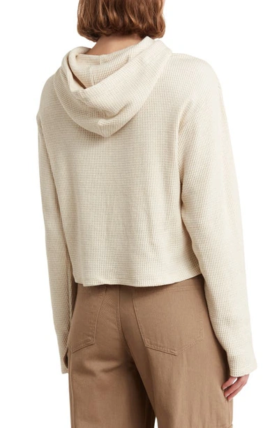 Shop Abound Waffle Knit Crop Pullover Hoodie In Beige Oatmeal Light Heather
