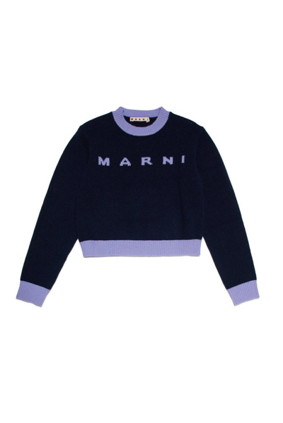 Shop Marni Kids Logo Intarsia Knitted Jumper In Blue