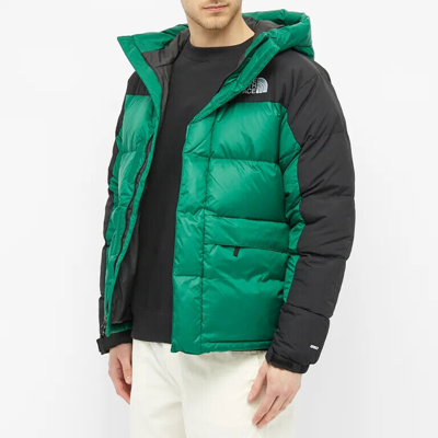 Pre-owned The North Face Himalayan Insulated Down Parka - Evergreen - Sizes M, L In Green