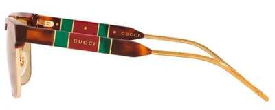 Pre-owned Gucci Gg0603s Unisex Designer Square Sunglasses Tortoise Havana Gold/brown 56 Mm