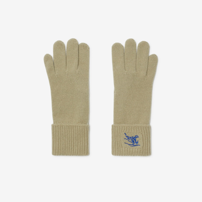 Shop Burberry Cashmere Blend Gloves In Hunter