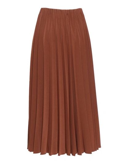 Clips Pleated Skirt In Brown