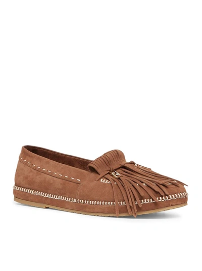 Shop Fendi Loafers Shoes In Brown