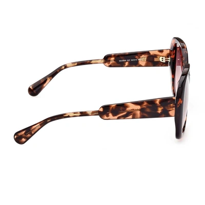 Shop Max & Co Max&co Sunglasses In Havana