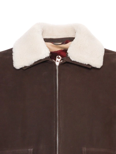 Stewart - Scettro Jacket In Brown