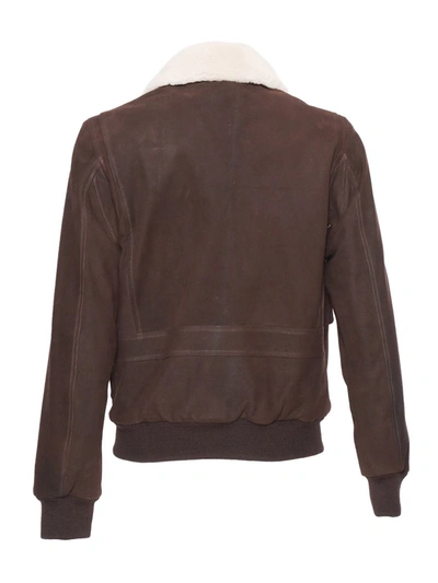 Stewart - Scettro Jacket In Brown