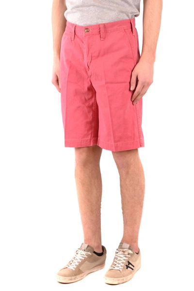 Shop Polo Ralph Lauren Shorts In Fuchsia