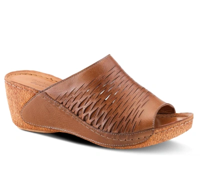 Shop Spring Step Shoes Cunacena Sandal In Brown