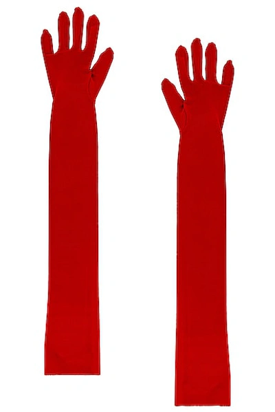 Shop Norma Kamali Long Gloves In Tiger Red