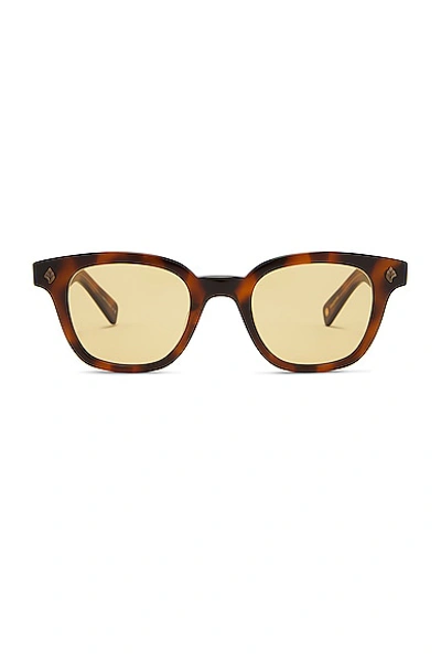 Shop Garrett Leight Naples Sun Sunglasses In Spotted Brown Shell