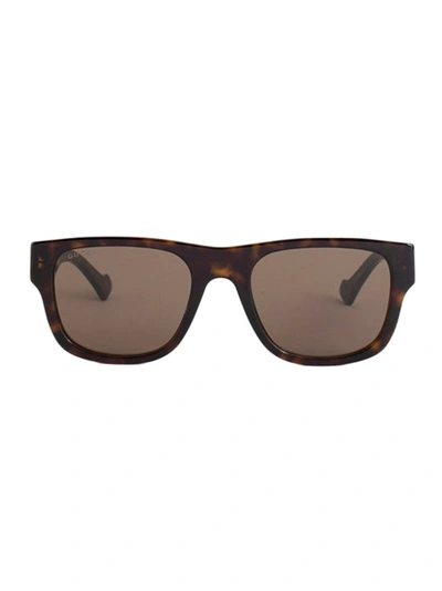 Shop Gucci Shiny Dark Tortoiseshell Rectangular Sunglasses In Brown
