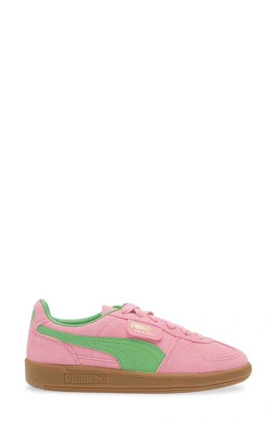 Shop Puma Palermo Special Sneaker In Pink Delight- Green-gum