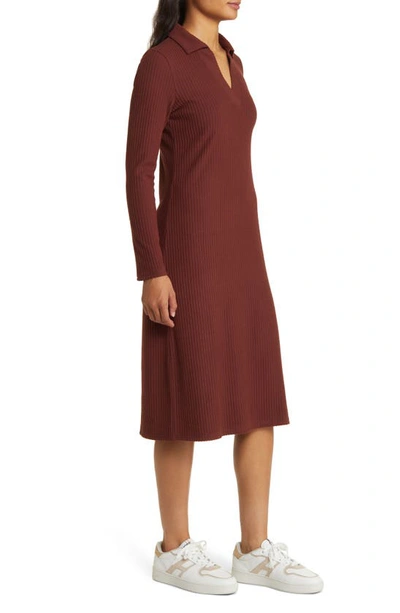 Shop Caslon Long Sleeve Rib Dress In Brown Raisin