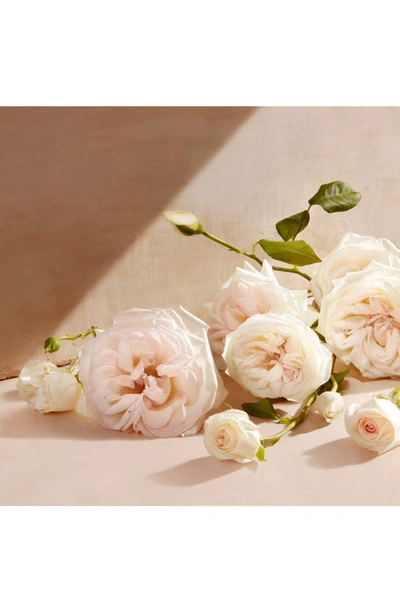 Chloé Eau De Parfum Spray In Regular