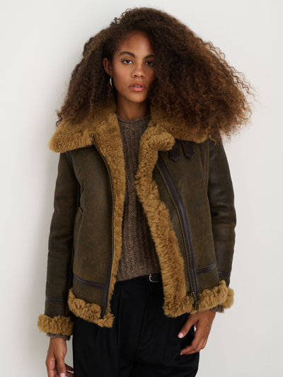 Alex Mill Owen Barry Amy Aviator Shearling Coat In Izl