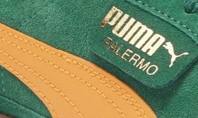 Shop Puma Palermo Sneaker In Vine-clementine