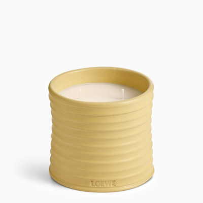 Shop Loewe Honeysuckle Yellow Medium Candle Women