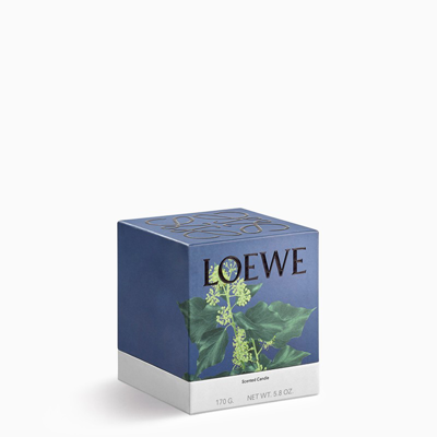 Shop Loewe Ivy Pink Small Candle Women