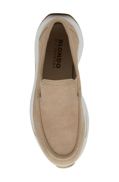 Blondo Manny Waterproof Sneaker In Sand Suede ModeSens