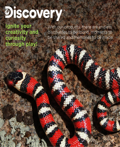 Discovery Toy Remote Control King Snake In Open Miscellaneous
