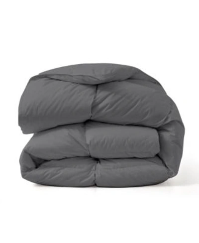 Shop Unikome Cotton Fabric Baffled Box All Season Down Duvet In Black