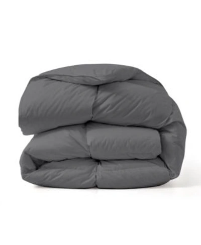 Unikome 233tc Year-round Warmth White Goose Feather Duvet Comforter Insert In Black