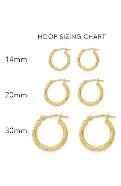 Shop A & M 14k Gold Leaf Cut Hoop Earrings In Yellow Gold