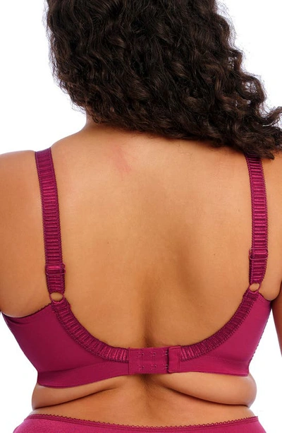 Elomi Cate Full Figure Soft Cup Bra In Berry