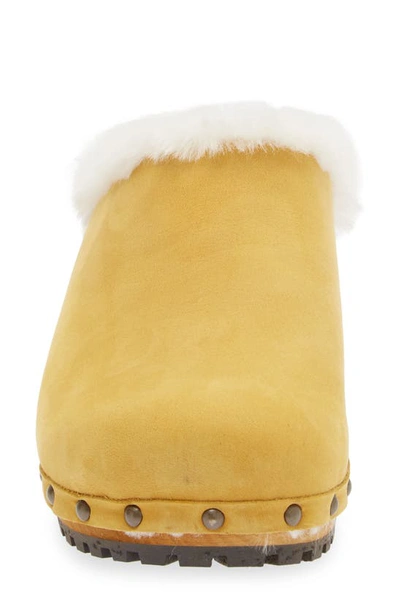 Sanita Hese Genuine Shealing Lined Clog In Yellow
