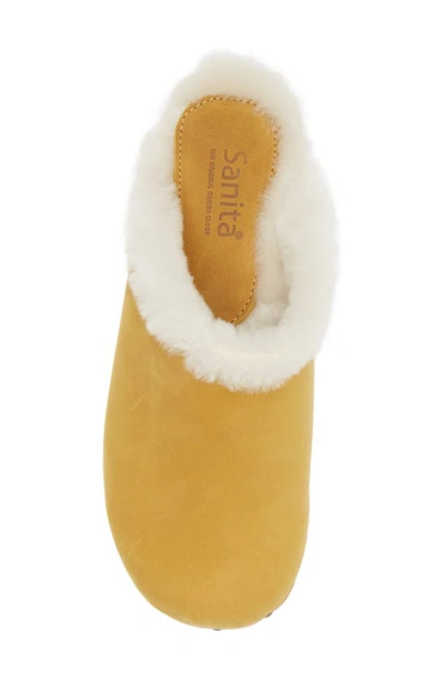 Sanita Hese Genuine Shealing Lined Clog In Yellow