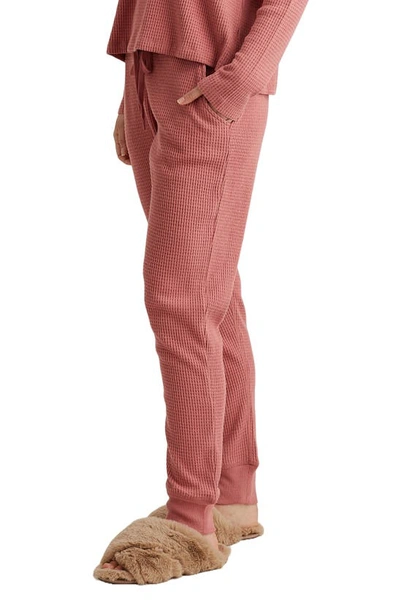 Shop Papinelle Waffle Knit Pocket Joggers In Soft Cinnamon