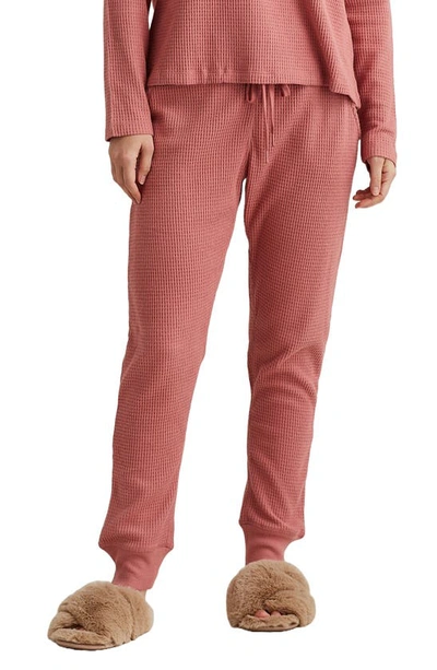 Shop Papinelle Waffle Knit Pocket Joggers In Soft Cinnamon