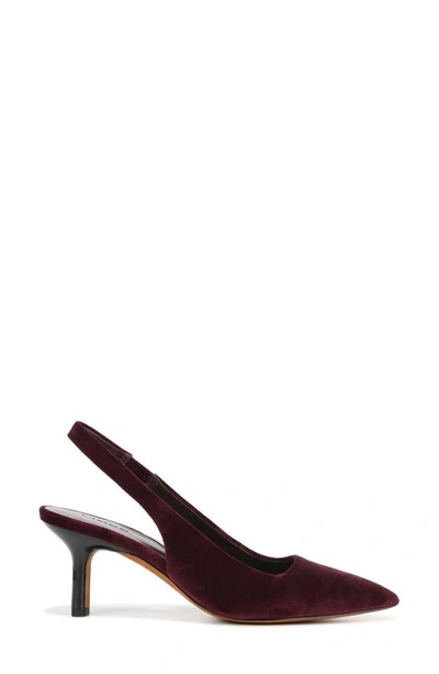 Shop Vince Patrice Slingback Pointed Toe Pump In Plumwine